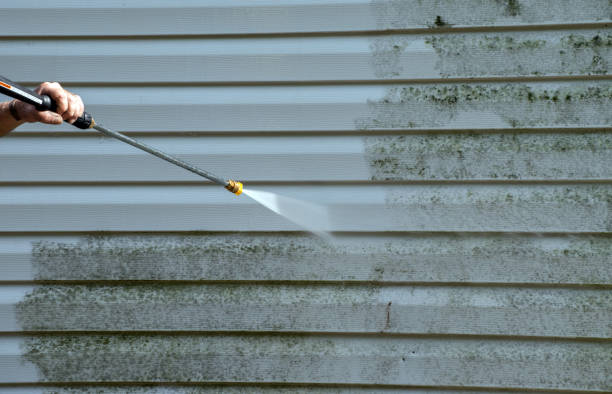 Best Driveway Pressure Washing  in Woodsboro, TX
